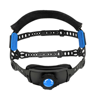 Red Maple Auto Darkening Helmet